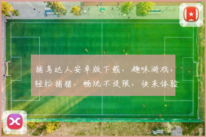 捕鸟达人安卓版下载，趣味游戏，轻松捕猎，畅玩不设限，快来体验