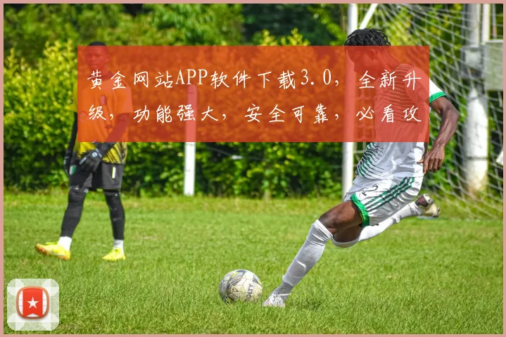 黄金网站APP软件下载3.0，全新升级，功能强大，安全可靠，必看攻略，速来体验