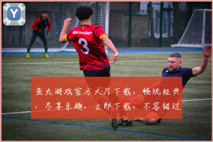 鱼丸游戏官方大厅下载，畅玩经典，尽享乐趣，立即下载，不容错过