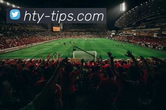未来规划